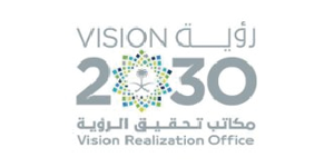 Vision 2030 Logo