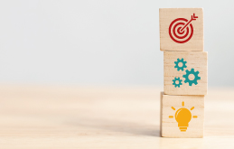Strategy & Execution Program