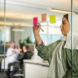 برنامج الهيكلة الاستراتيجية : سيناريو أكسفورد التخطيطي